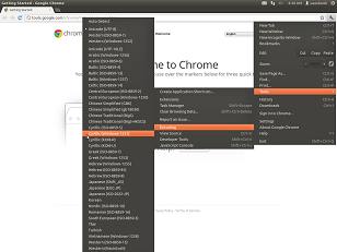 multiple menus to change page encoding in google chrome